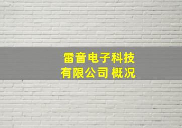 雷音电子科技有限公司 概况